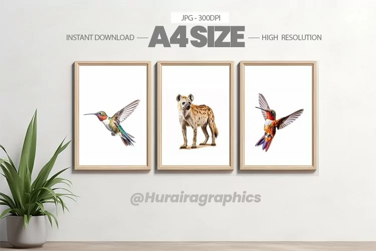 Animal Wall Art - 03 Variations