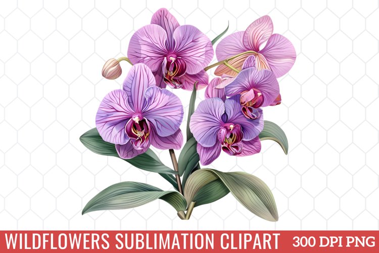 Spring Clipart Image 9