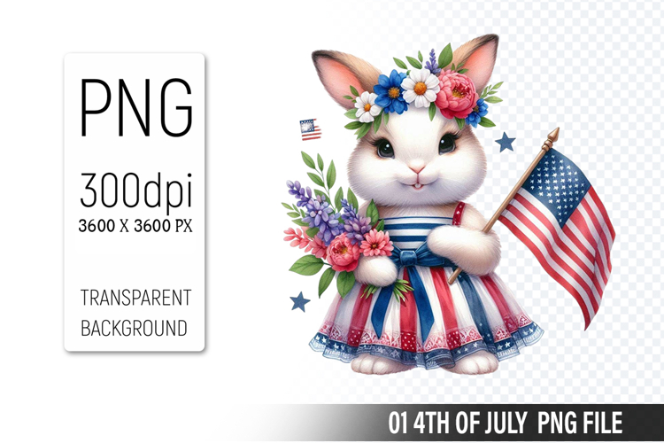 American Flag Png Image 13