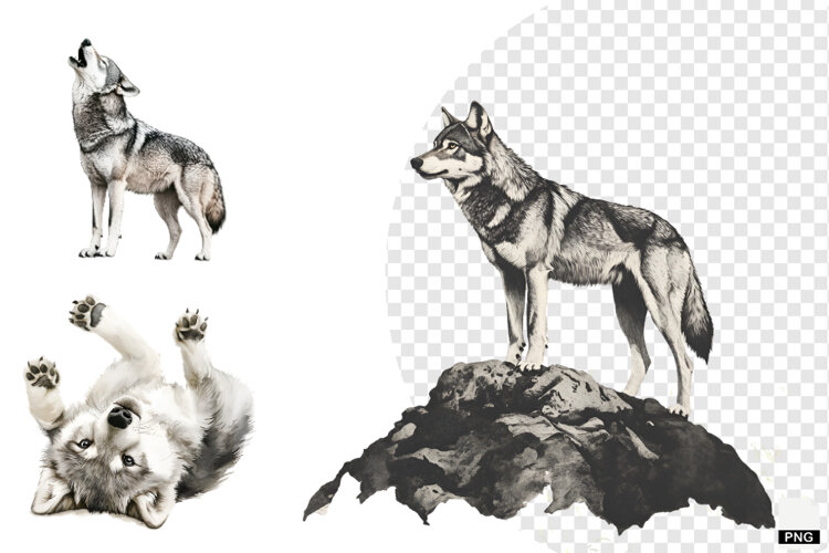 Winter Gray Wolves Clipart example image 1
