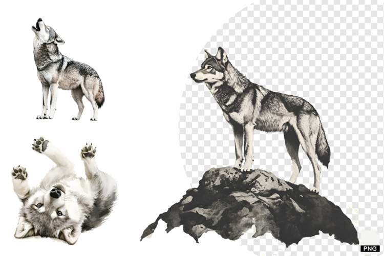 Winter Gray Wolves Clipart