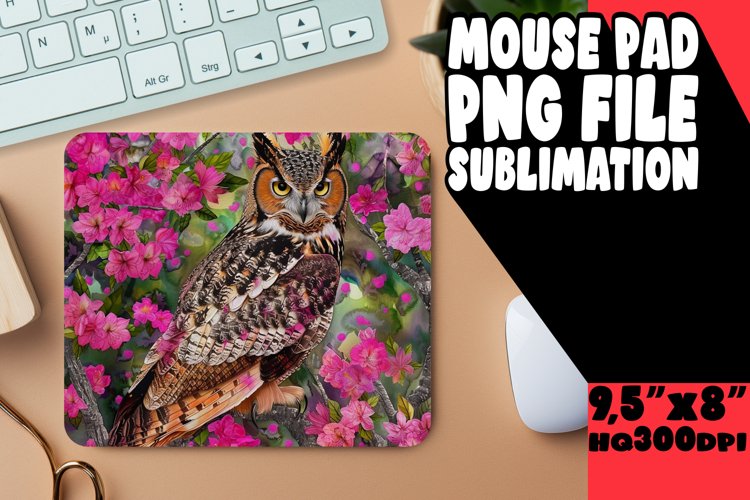 Owl Clipart Image 11