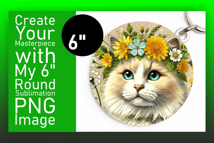 Circle Png Image 17