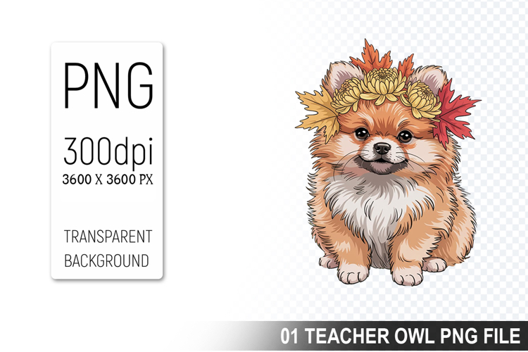 Pet Illustration