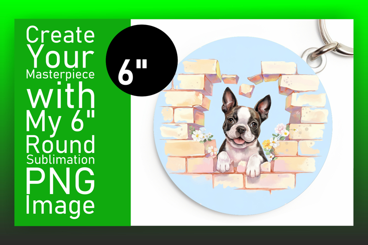 Circle Png Image 22