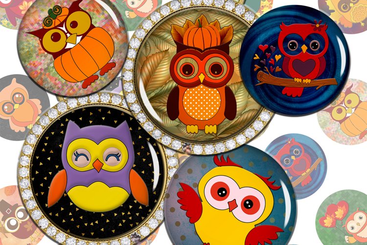 Owl Clipart Image 14