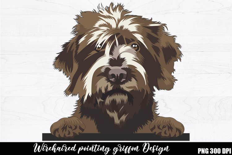 Wirehaired pointing griffon Sublimation example image 1