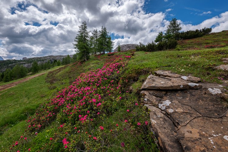 Mountain landscape above the Falzare example image 1