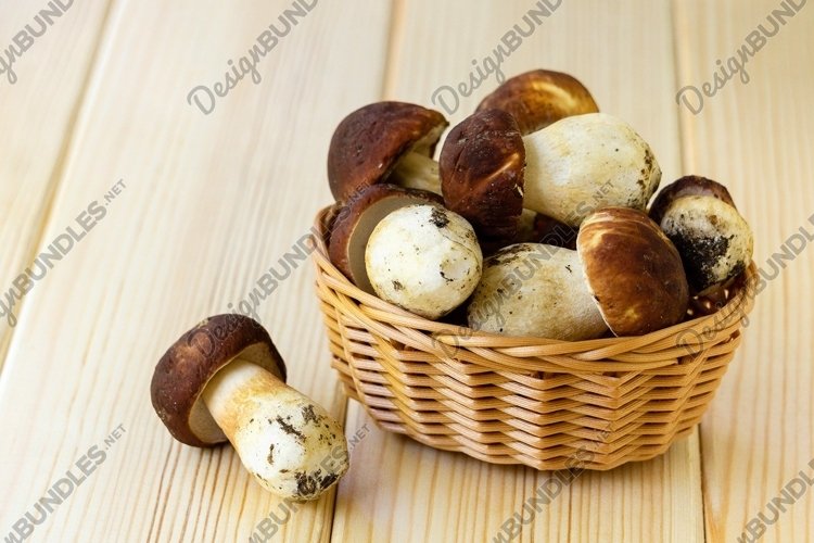 Porcini mushrooms in basket example image 1