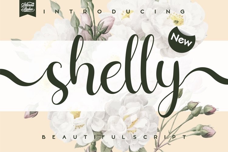 shelly - Beautiful Script Font example image 1