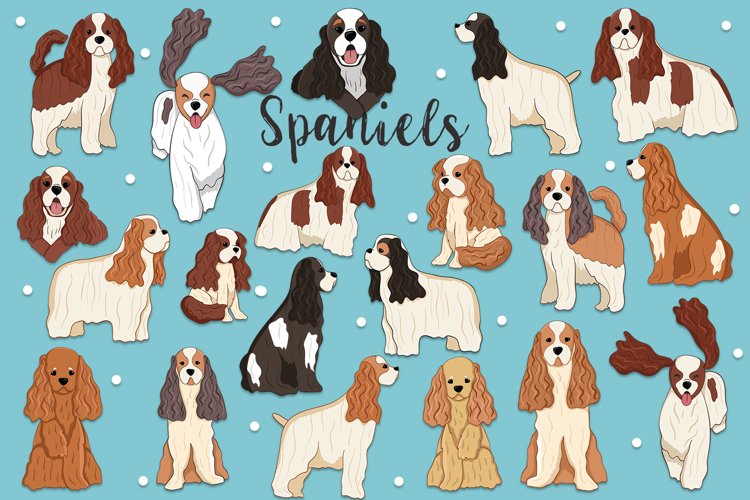 Spaniels