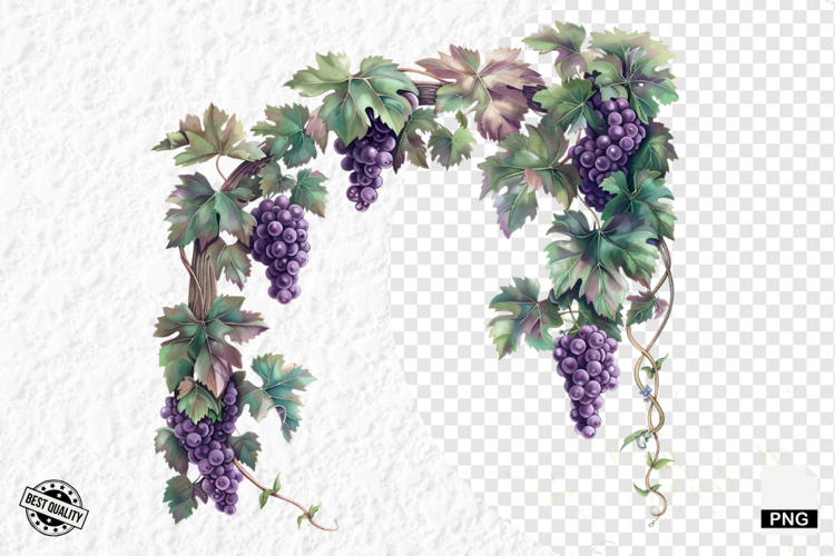 Summer Clipart Image 22