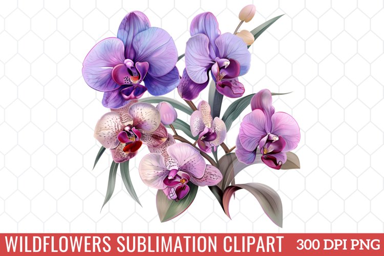 Spring Clipart Image 8