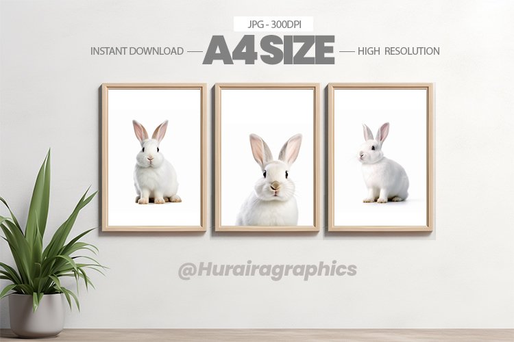 Animal Wall Art - 03 Variations