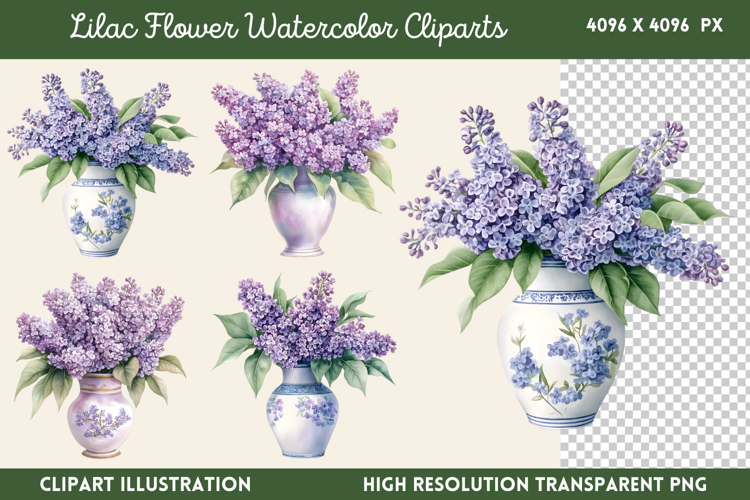 Lilac Illustration