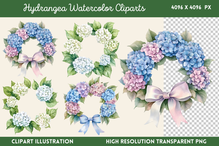 Hydrangea Png Image 4