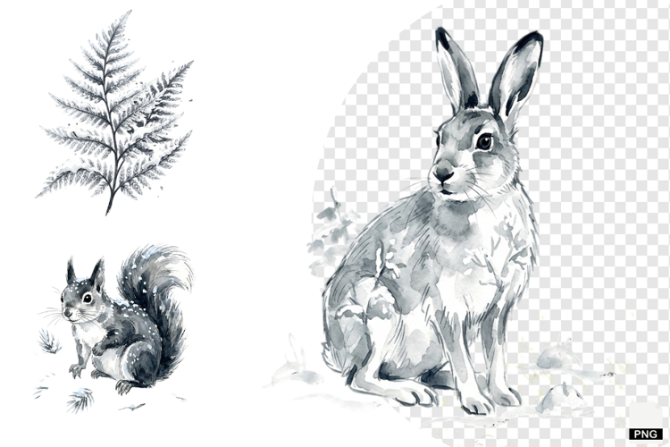 Nature Forrest Meadow Clipart