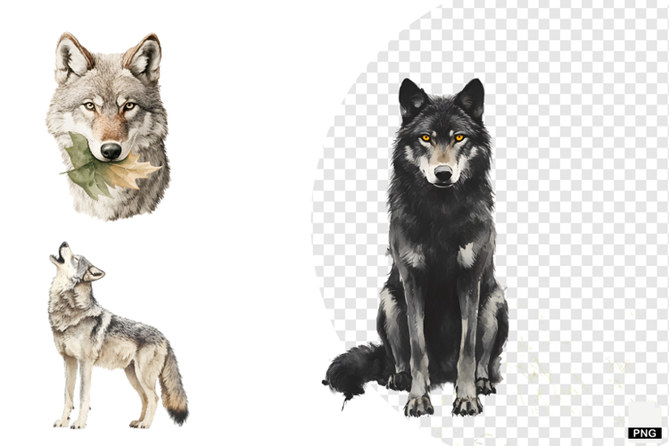Winter Gray Wolves Clipart