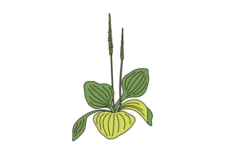 Birthday Clipart Image 6