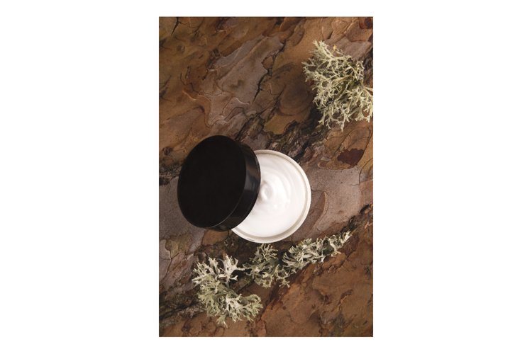 Garden Background Image 17