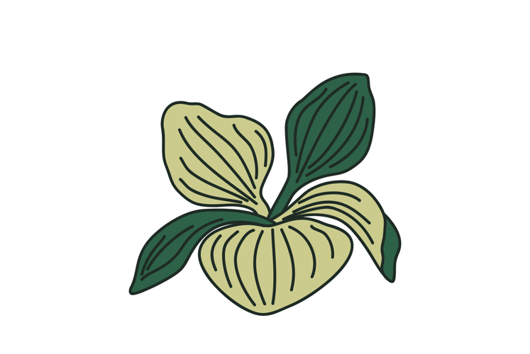 Greenery Clipart Image 17