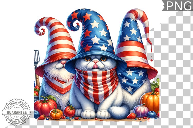 4th Of July Sublimation Design Image 12