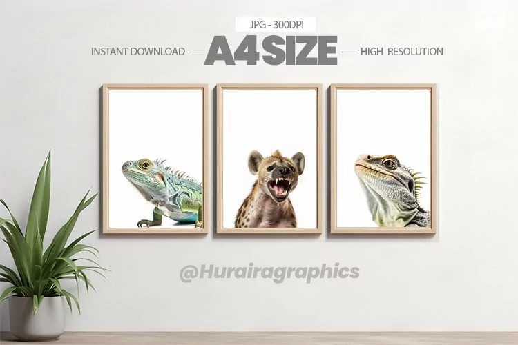 Animal Wall Art - 03 Variations