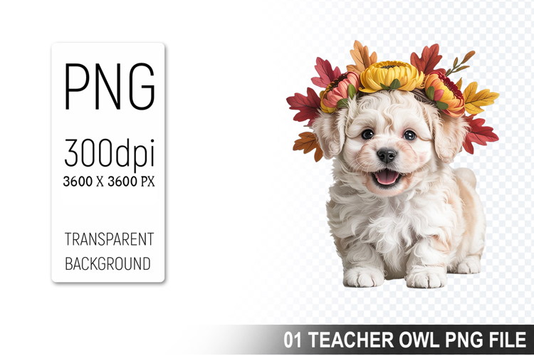 Pet Illustration Image 22