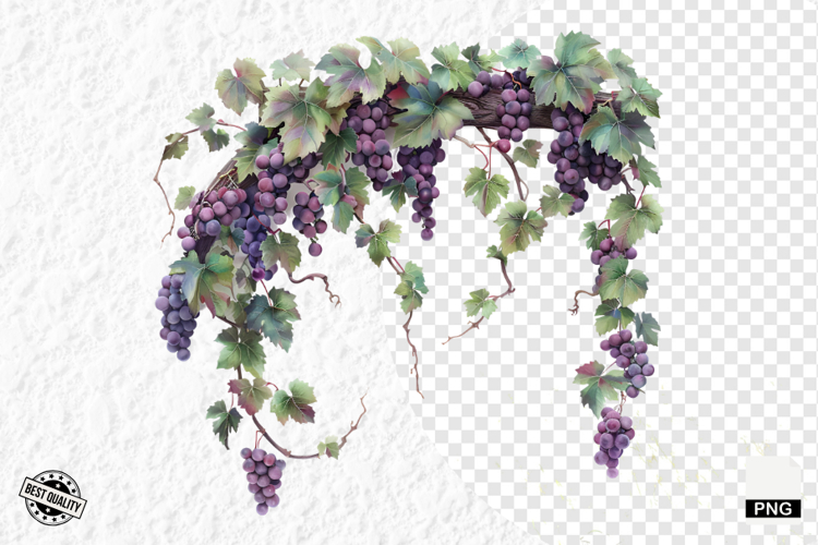 Summer Clipart Image 21