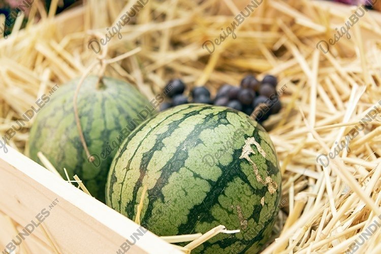 Watermelon Clipart Image 7