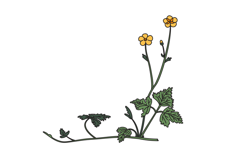 Greeting Clipart Image 15