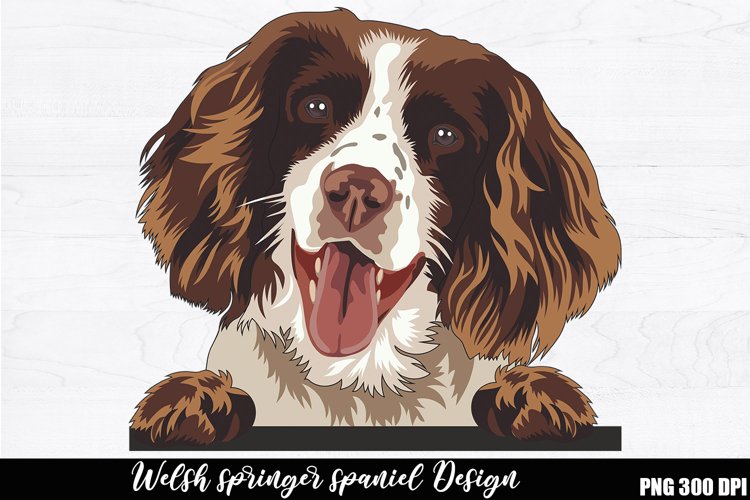 Welsh springer spaniel Sublimation