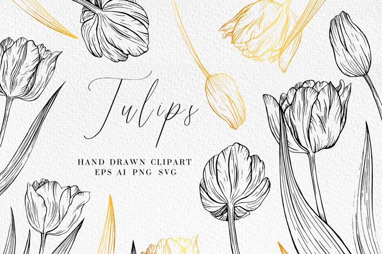 Tulips Clipart Image 13