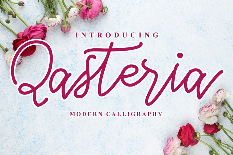 Qasteria example image 1