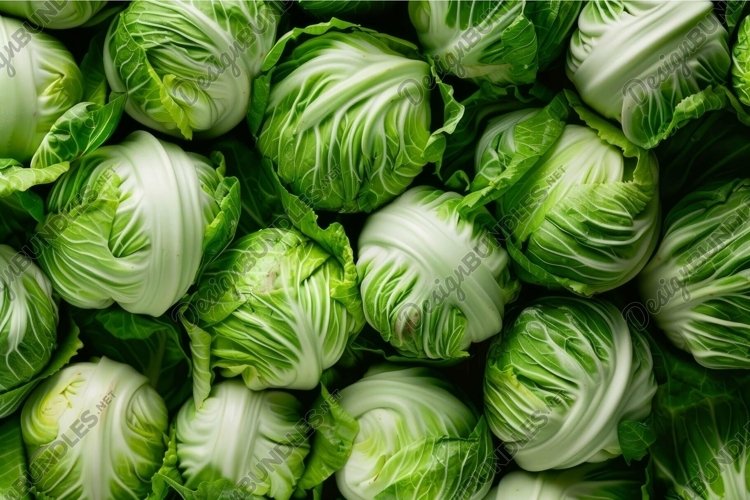Vegetable Clipart Image 8