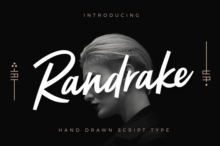 Randrake - Font Script example image 1