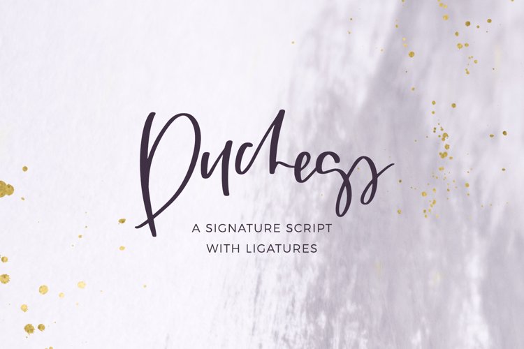 Duchess Signature Script Font example image 1
