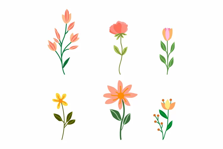 Flower Collection