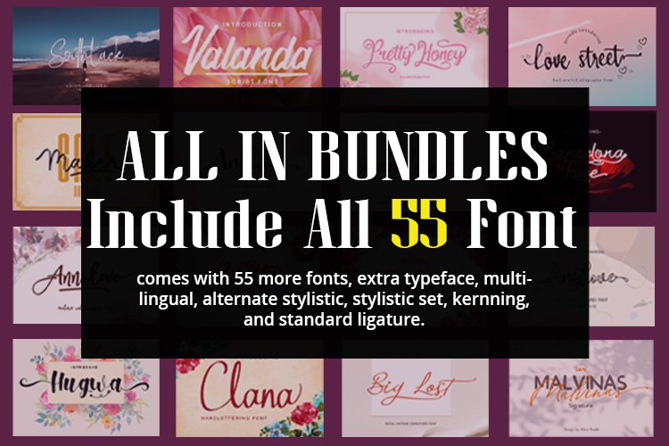 All In Bundles || Include 55 Font example image 1