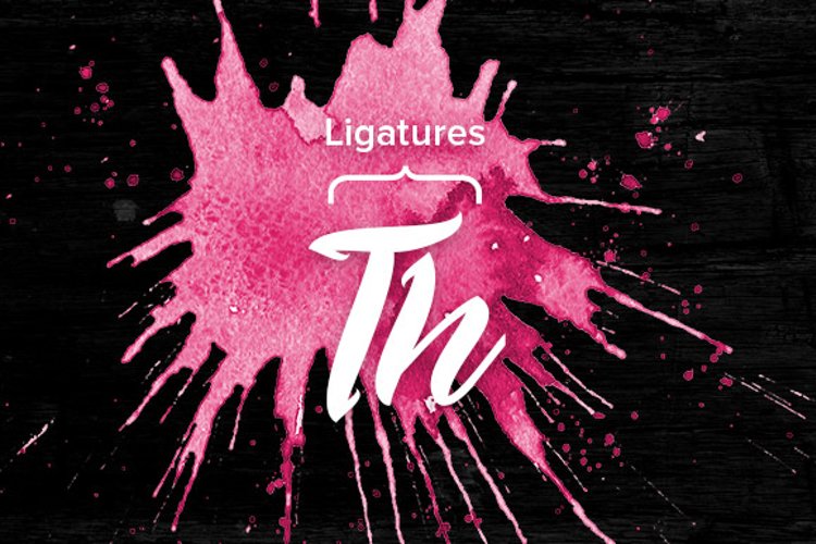 Fanatic Free Font Font Bundles