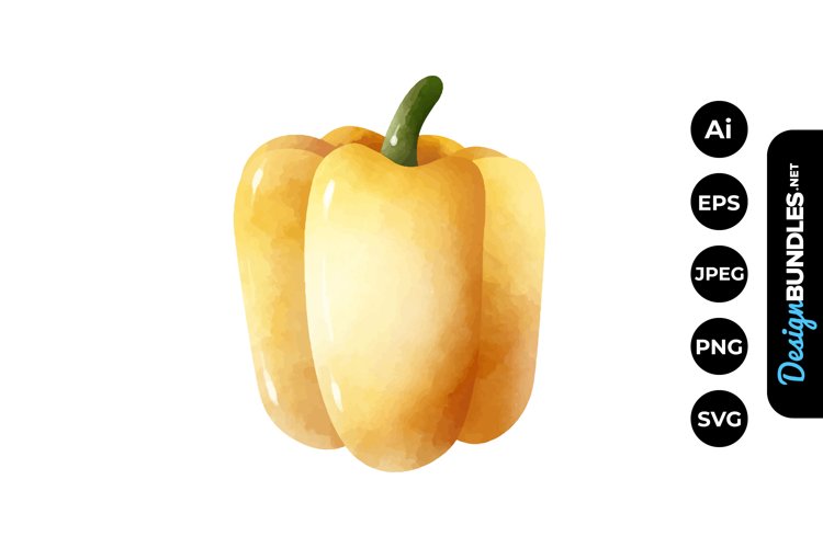 Carrot Illustration Image 21