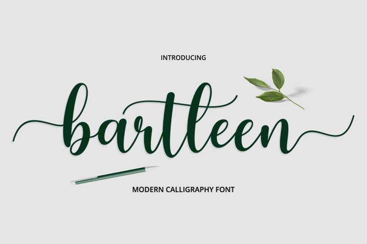 Bartleen Font Duo example image 1