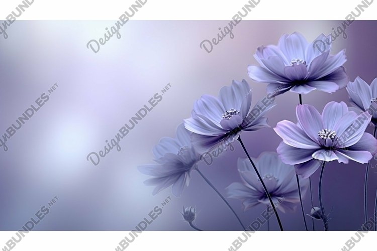 Purple Background Image 20