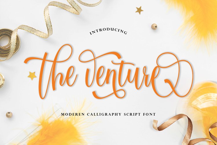 the venture example image 1