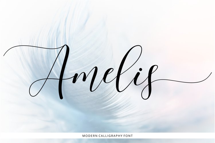 Amelis example image 1