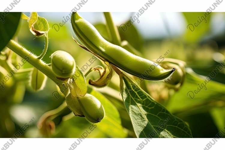 Agriculture Clipart Image 22