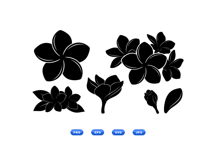 Flower Graphics