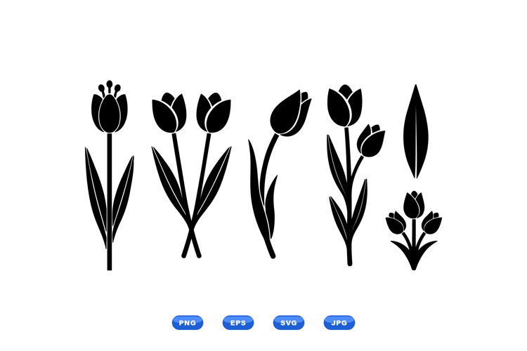 Floral Vector Image 6
