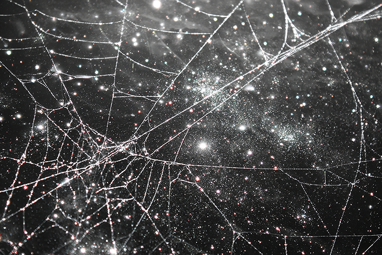 Spider web covered in dew drops against a dark background