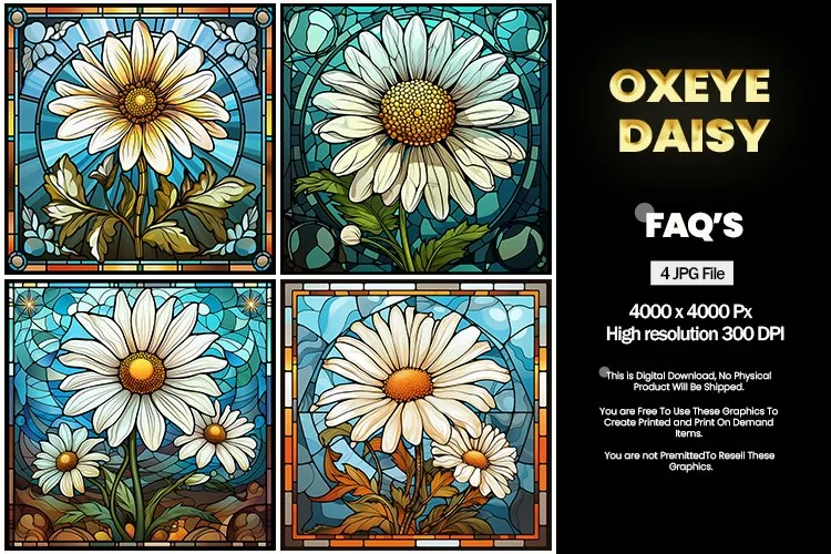 Stained Glass Oxeye Daisy Square Coaster - 04 Variations